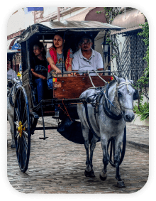 Kalesa